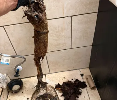 7 Signs Your Main Sewer Line Needs Attention